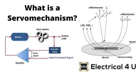 Servomechanism Theory And Working Principle Of Servo Motor Electrical U