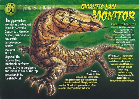 Gigantic Lace Monitor Weird N Wild Creatures Wiki Fandom