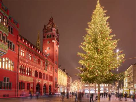 Der Sch Nste Weihnachtsbaum Der Schweiz Stimmen Sie Jetzt Ab Nau Ch