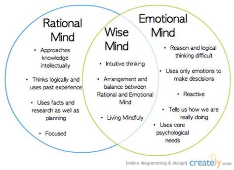 Wise Mind Dbt Skills Handouts