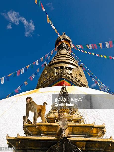 Swayambhunath Temple Photos and Premium High Res Pictures - Getty Images