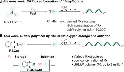 Scheme 1 Controlled Radical Polymerization By Organoboranes As Radical Download Scientific