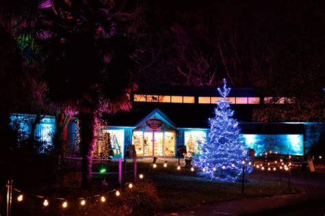 Glow Marwell is back and it's going to be spectacular! 🌟 - Marwell Zoo