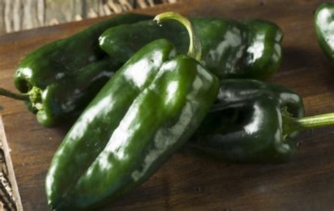 Poblano Peppers Vs Bell Peppers Which Is A Better Option Americas