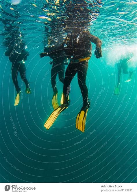 Taucher Schwimmen In Der Tiefsee Zwischen Der Wasservegetation Ein