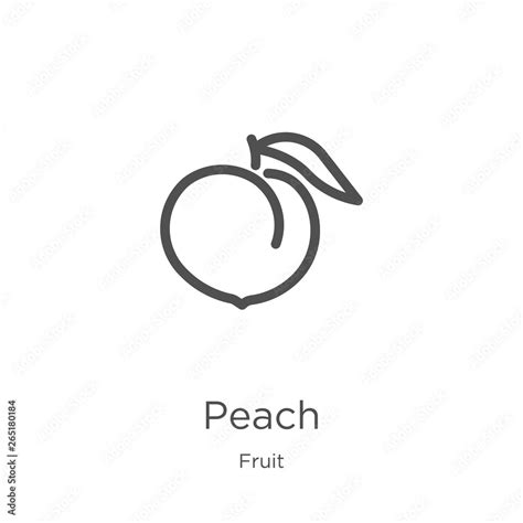 Peach Icon Vector From Fruit Collection Thin Line Peach Outline Icon