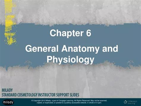 Ppt Chapter 6 General Anatomy And Physiology Powerpoint Presentation