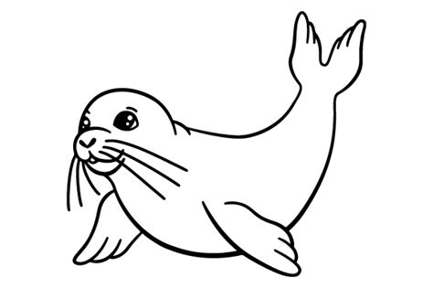 Harp Seal Coloring Pages