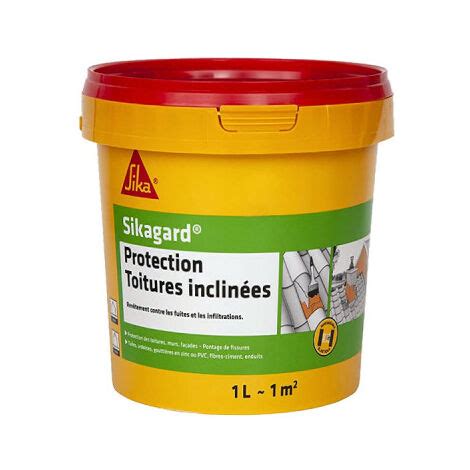 Peinture De Protection Sika Sikagard Protection Toiture Inclin E