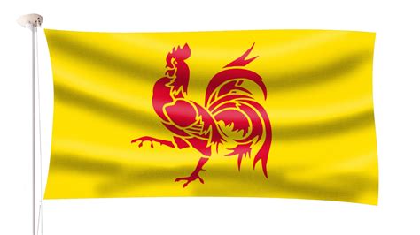 Walloon Region Flag | Hampshire Flag Company