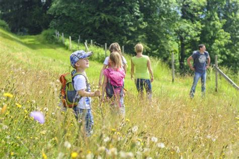 6 fun outdoor activities for kids - Fossickr