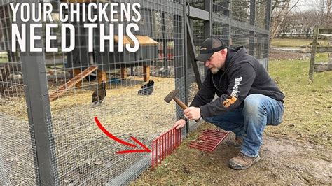 How To Build A Predator Proof Chicken Run Around Your Coop Diy