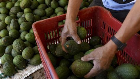 El aguacate de Michoacán vuelve a ser el gran protagonista del Super