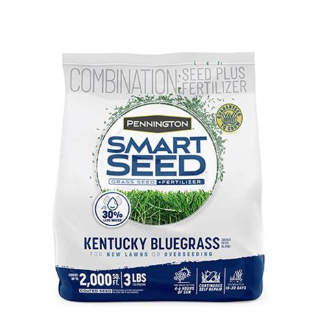 Pennington Smart Seed Kentucky Bluegrass Grass Seed Mix, for Sun to ...