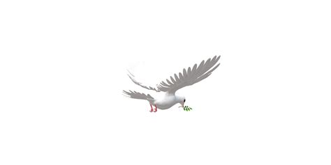 Peace Dove isolated on a Transparent Background 24997388 PNG