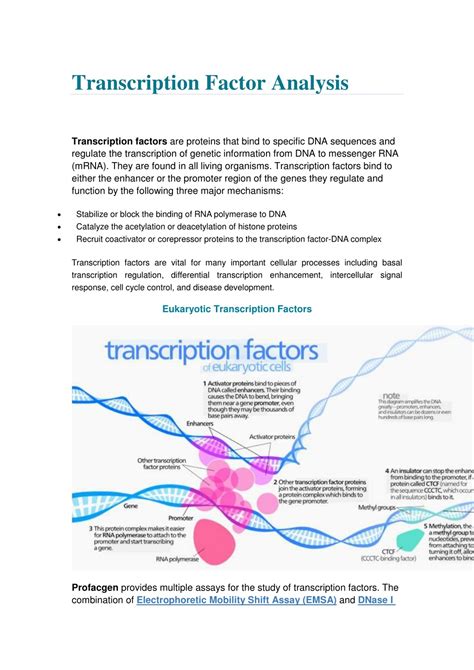 Ppt Transcription Factor Analysis Powerpoint Presentation Free