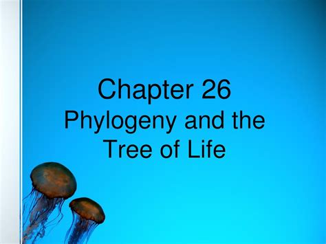 Ppt Chapter Phylogeny And The Tree Of Life Powerpoint Presentation