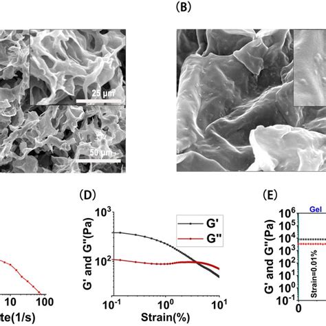 Characterization Of Nanoparticle Hydrogel Composite A The Scanning