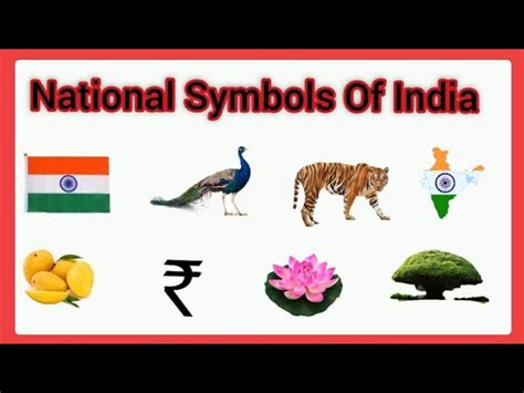 National Symbols Of India For Kids Informacionpublicasvetgobgt