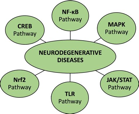 Various Cell Signaling Pathways For Neurodegenerative Diseases