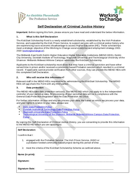 Criminal Declaration Doc Template PdfFiller