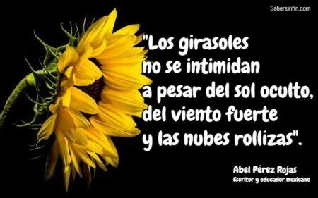 Frases De Girasoles Para Enamorar A Una Mujer Nudohome Ar