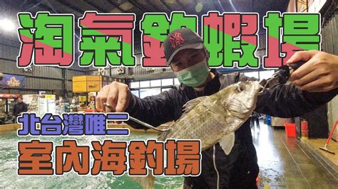 【台客去釣魚】北台灣唯二的室內海水魚池！挑戰用蝦竿力拼海水魚 Feat淘氣釣蝦場 Youtube