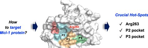 Mcl1 Targeted Libraries In Small Molecule Drug Design Chemistry Anywhere