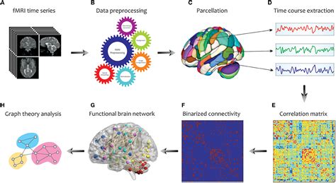 Applications Of Graph Theory In Medicine