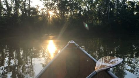 Sunrise on the bayou : r/Kayaking