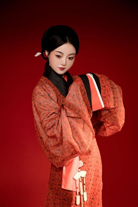 Hanfu🇨🇳・漢服 Chinese Western Han Dynasty Traditional Clothing Hanfu