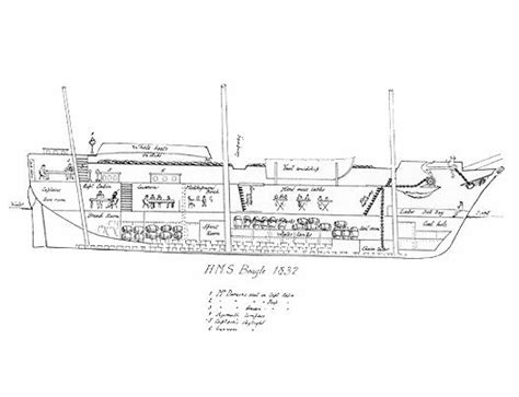 This Is The Layout Of The Hms Beagle Its Quite Small Too Hms Beagle