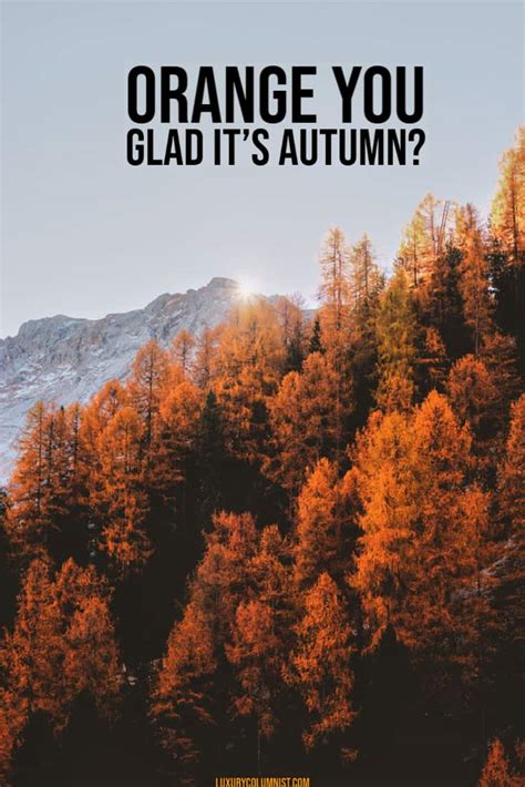 85+ Inspirational Fall Quotes | Short, Happy And Funny Autumn Sayings