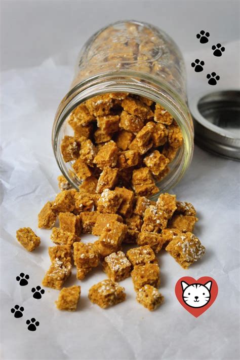 Best Homemade Cat Food Recipes A Guide To Crafting Delectable And