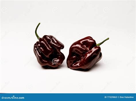 Jamaican Hot Chocolate Hot Peppers Stock Image Image Of Colors Chocolate