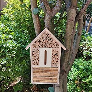 N U Hôtel à insectes en bois abri de jardin nichoir pour abeilles