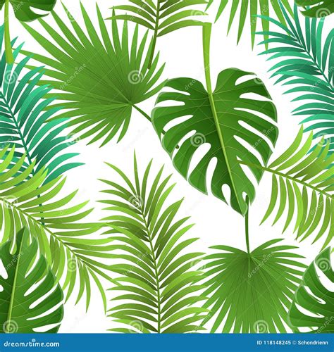 Seamless Pattern Vector Monstera Palm Leaves Stock Vector Royalty Free 8B3