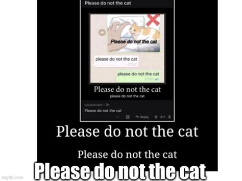 Please Do Not The Cat Imgflip