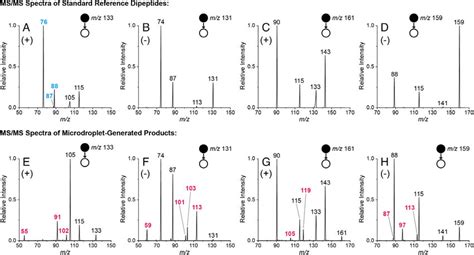 Comparison Of Nesi Msms Spectra Obtained For The Standard Top Row Download Scientific