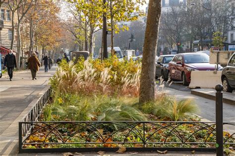 Élu e s Paris En Commun on Twitter RT C Najdovski Débitumer et