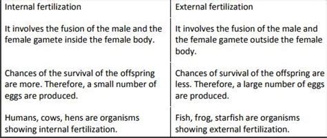 Differentiate Between Internal Fertilisation And External Fertilisation