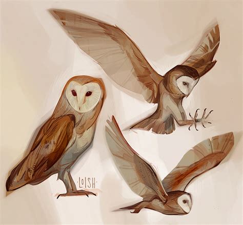 Bentelicious ARTig Oder Unartig On Twitter RT Loishh Barn Owl