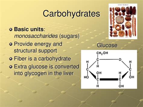 Macromolecules Describe The Structures And Functions Of Each Of The