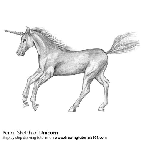 Unicorn With Wings Drawing Easy