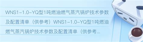 Wns1 10 Yq型1吨燃油燃气蒸汽锅炉技术参数及配置清单（供参考） 哔哩哔哩