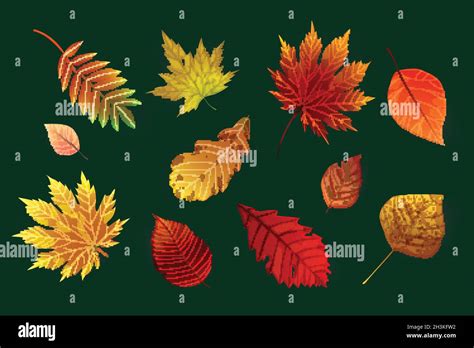 Realistic Style Autumn Leaves Collection Vector Design Illustration