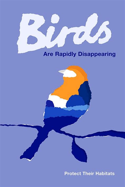 Birds Poster | Bird poster, Illustrations and posters, Graphic deisgn