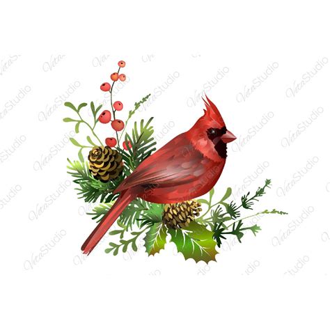 Red Cardinal Bird With Pine Branch MasterBundles