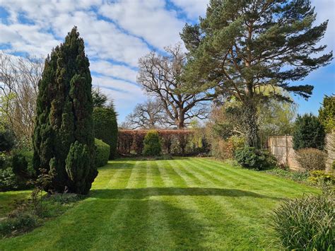 D E Garden Services Lawns, Hedges and Shrubs — D E Garden Services