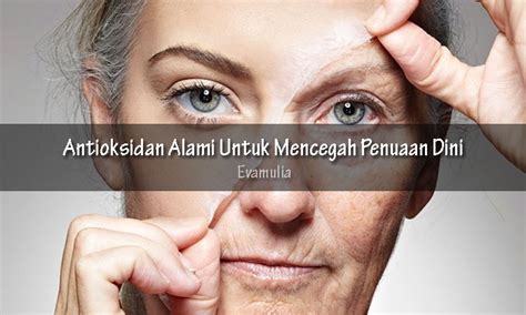 Antioksidan Alami Untuk Mencegah Penuaan Dini Eva Mulia Clinic